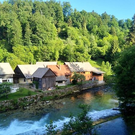House By The River Zgornje Gorje Exterior photo