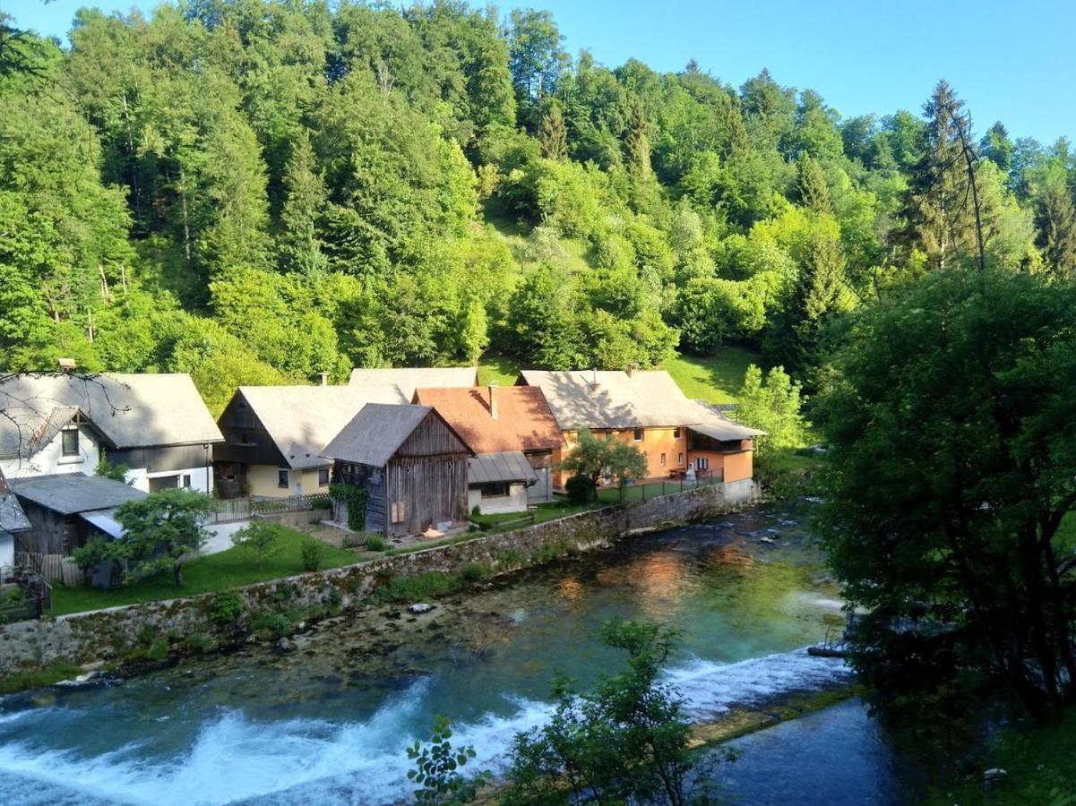 House By The River Zgornje Gorje Exterior photo